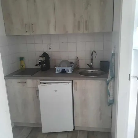 Farkas 巴拉通雷勒